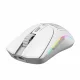 Glorious Gaming Model O 2 Mini Wireless #3