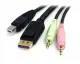 StarTech.com DP4N1USB6 #3