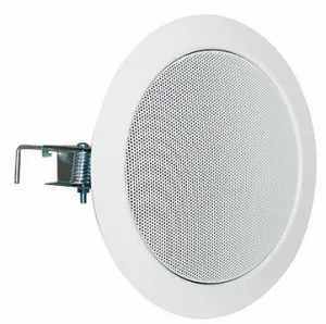 Visaton DL 13/2 T