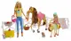 Barbie FXH15