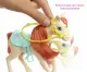 Barbie FXH15 #8