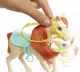 Barbie FXH15 #4