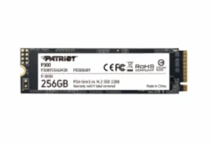 Patriot Memory P300P256GM28