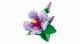 LEGO Botanicals Hibiscus #4