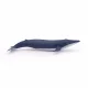 Papo Blue Whale Calf #3