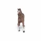 Papo Anglo-Arab Mare #4