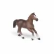 Papo Anglo-Arab Mare #5
