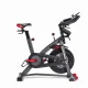Schwinn IC8