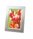 Avery C2550-50 #2