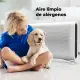 AENO AP2S #11