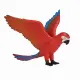 Mojo Fun Parrot #5