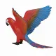 Mojo Fun Parrot #3