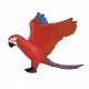 Mojo Fun Parrot #2