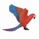 Mojo Fun Parrot #4
