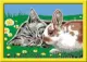 Ravensburger 20074 #2
