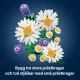 LEGO Botanicals Daisies #5