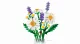 LEGO Botanicals Daisies #6