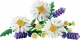 LEGO Botanicals Daisies #4