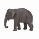 Mojo Fun Asian Elephant