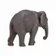 Mojo Fun Asian Elephant #5