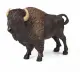 Papo American Buffalo