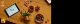 LEGO Botanicals Poinsettia #5