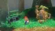 Nintendo Super Mario Odyssey NSW #7