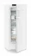 Liebherr FNd 4655 Prime