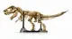 LEGO Jurassic World Dinosaur Fossils: Tyrannosaurus rex #4