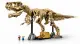 LEGO Jurassic World Dinosaur Fossils: Tyrannosaurus rex #3