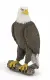 Papo 50181