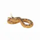 Mojo Fun Rattlesnake #6