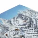 CRAFT Buddy Snowy White Tigers #2