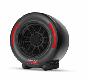 Red Bull Racing RB-SK310