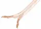 Lanberg SC-2X15-10CC-0250-TR