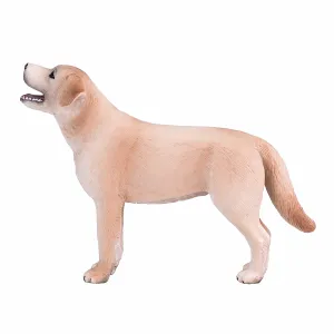 Mojo Fun Labrador