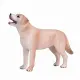 Mojo Fun Labrador #2