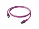 EasyLan CPP1OVAVAV0050