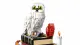 LEGO Harry Potter Philosopher's Stone - Collectors' Edition #13