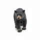 Papo American black bear #4