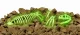 Kosmos Glow in the Dark T-Rex #2
