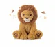 Cloud B Louis Lion