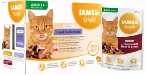 IAMS 100418
