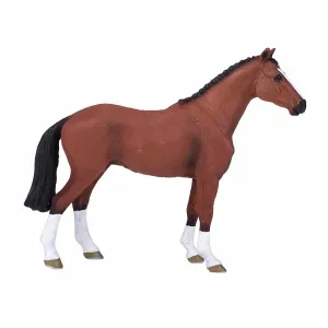 Mojo Fun Dutch Warmblood (Portugal)