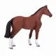 Mojo Fun Dutch Warmblood (Portugal) #2