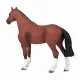 Mojo Fun Dutch Warmblood (Portugal) #5