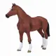 Mojo Fun Dutch Warmblood (Portugal) #4