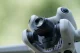 DJI Mini 4 Pro Wide Angle Lens #6