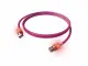 EasyLan CS1OVADAD0075