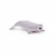 Papo Beluga Whale #7